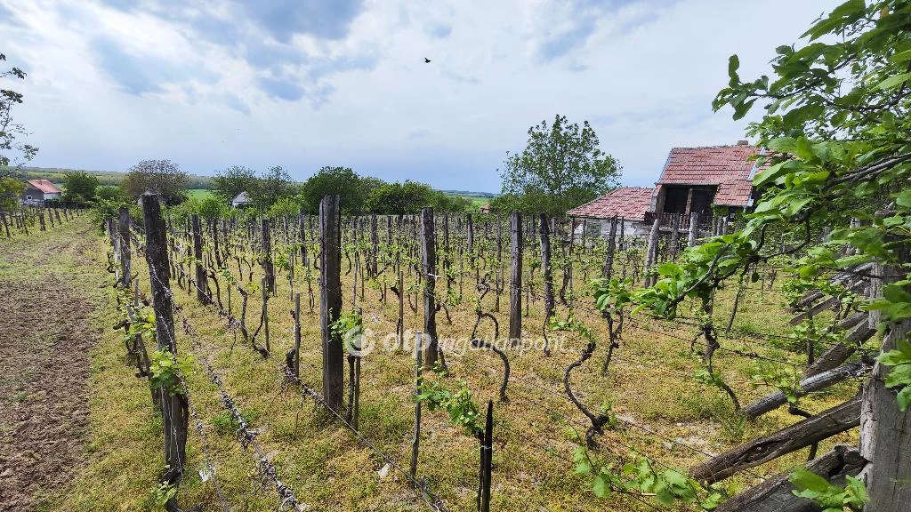 Eladó szántóföld, legelő, Somlószőlős, Somló-hegy