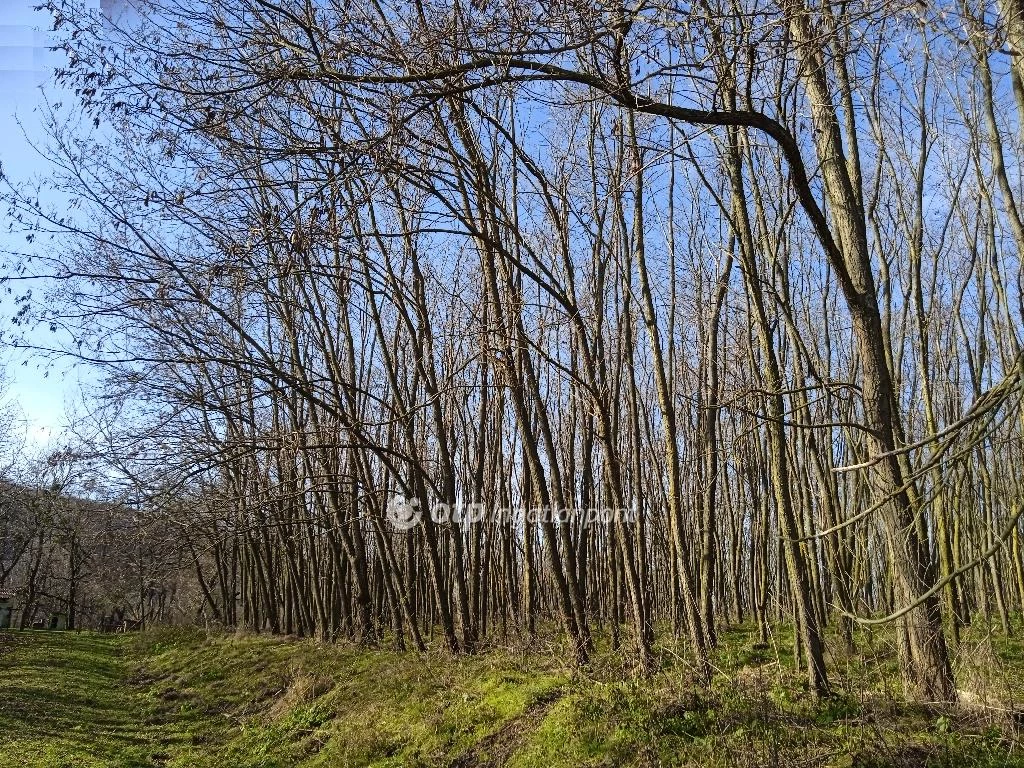 For sale building plot, Ajka, csendes