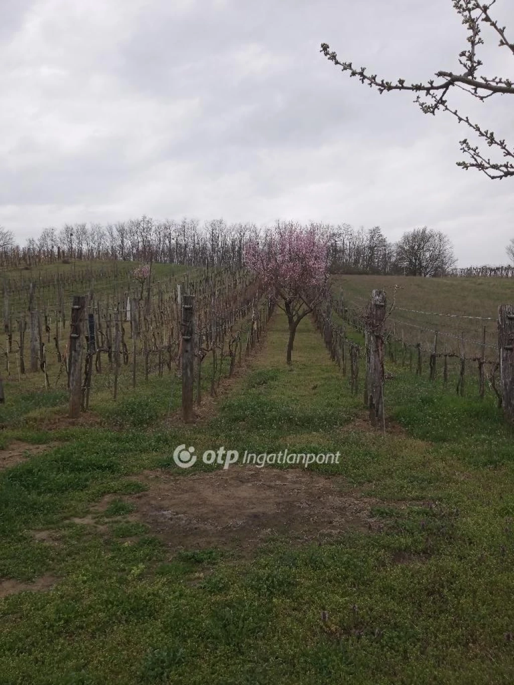 Eladó építési telek, Románd, Csendes