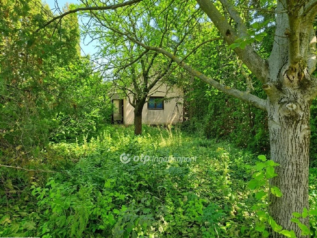 c3-1-name c2-50-name, Balatonakarattya, Csendes