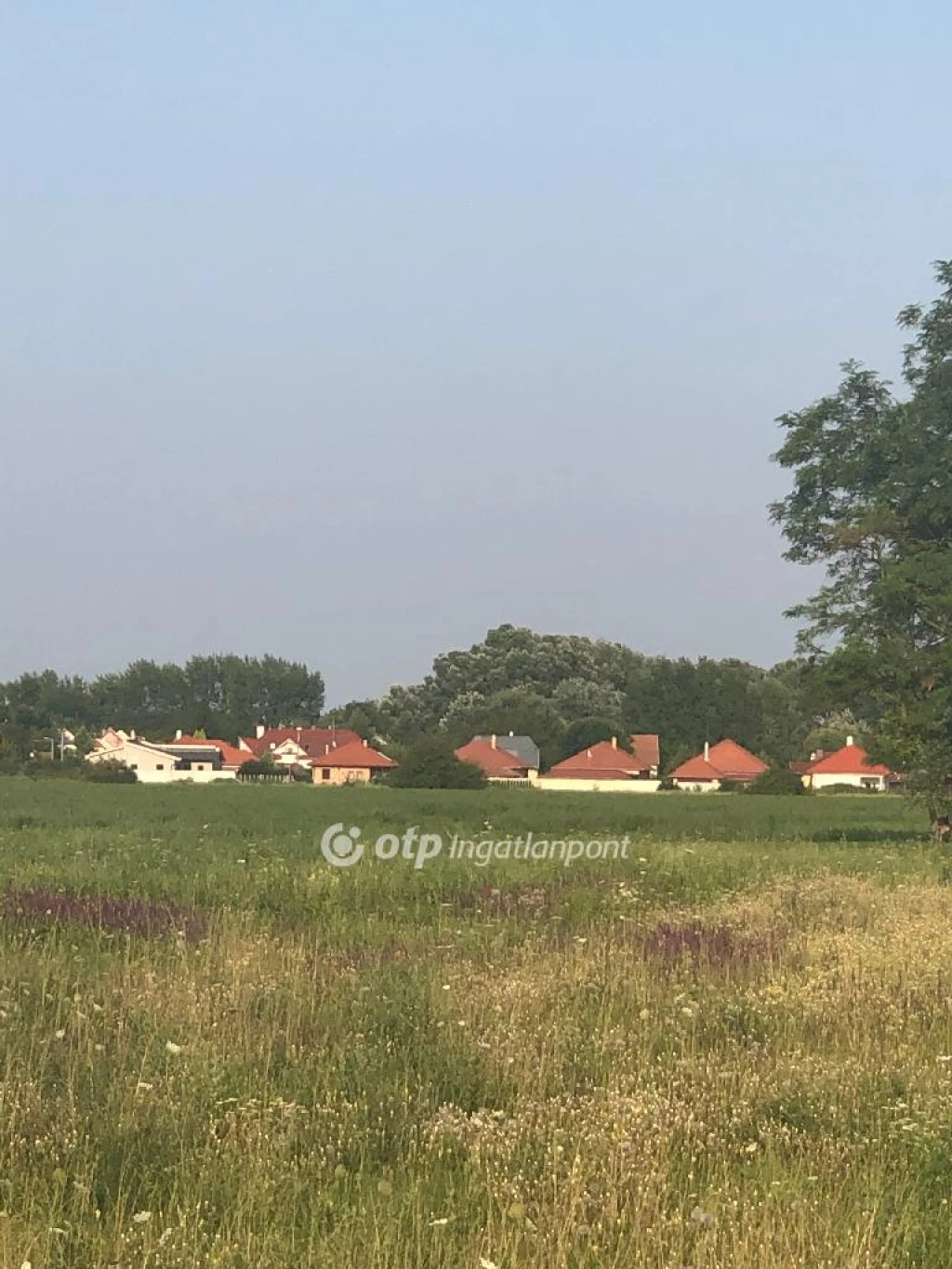 c3-1-name c2-50-name, Gyula, x