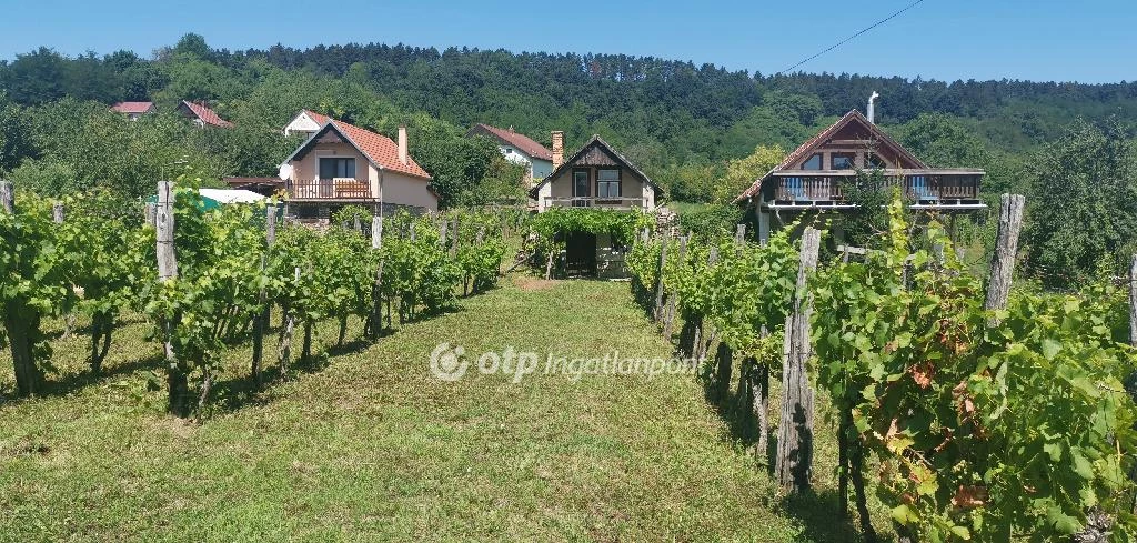 Eladó szántóföld, legelő, Magyarpolány, Öreghegy szőlő