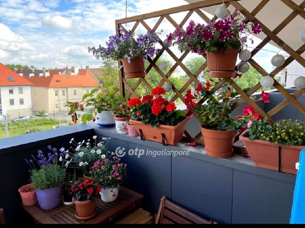 c3-1-name c2-19-name, Győr, Sziget