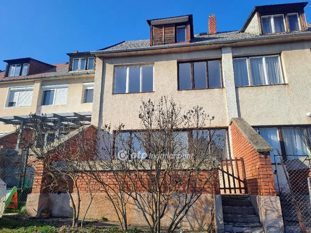 c3-1-name c2-82-name, Zirc, Erdőalja