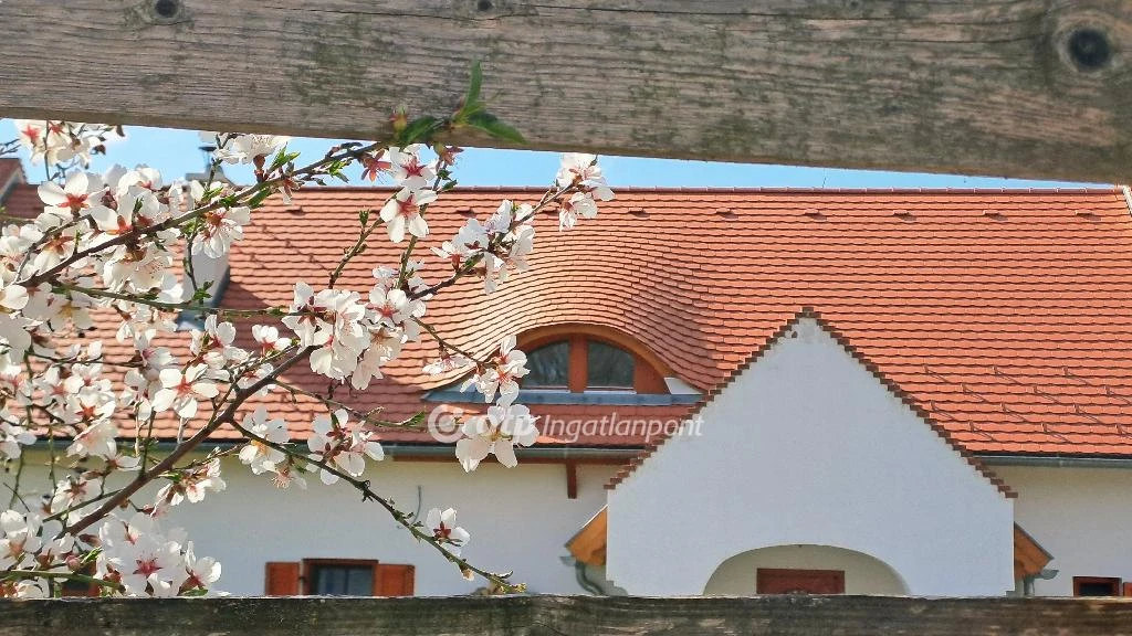 Eladó családi ház, Balatonalmádi, Újhegy