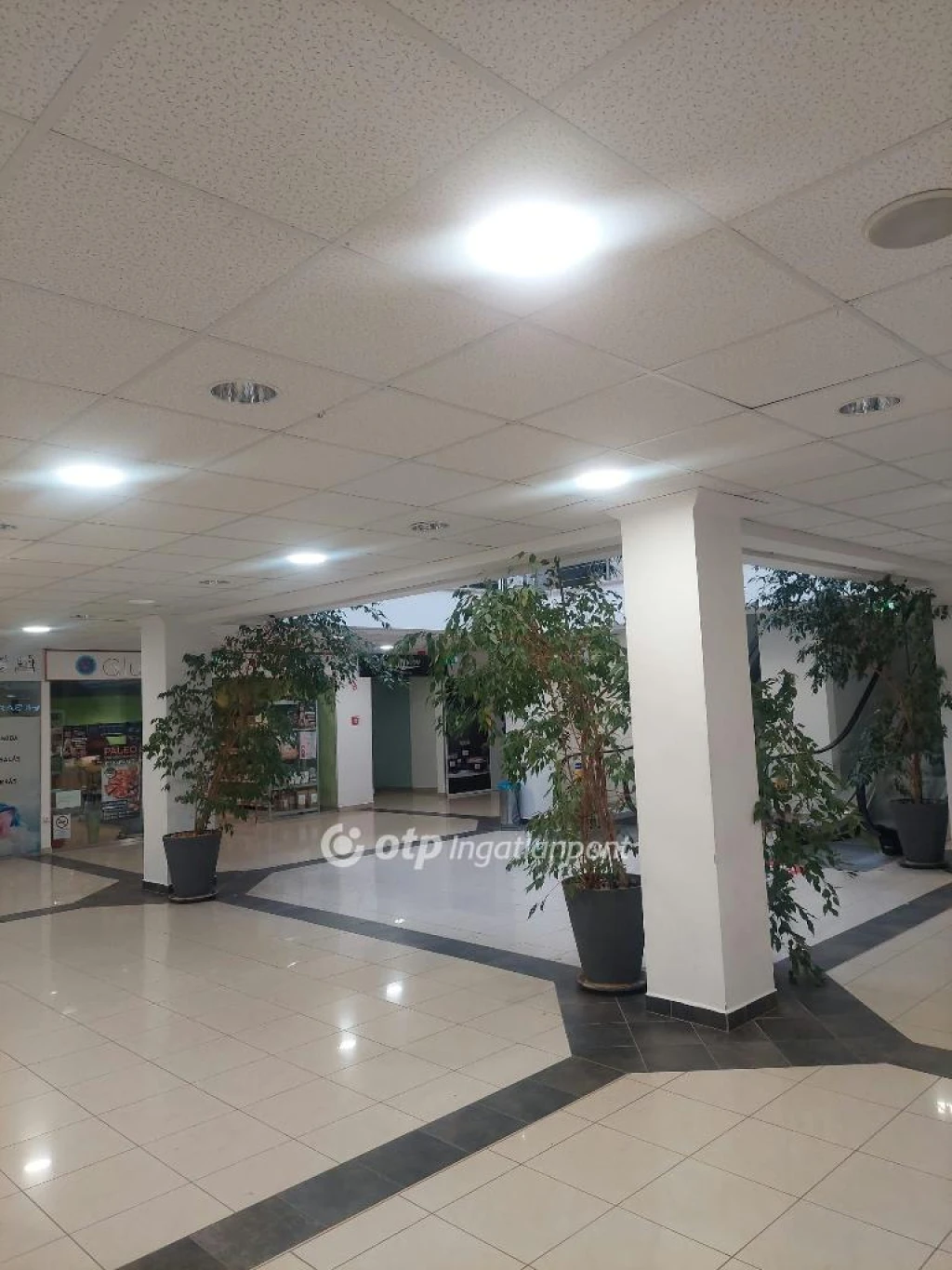 Kiadó üzlet, Veszprém, x