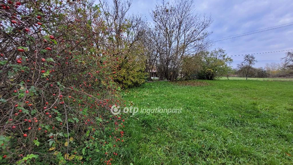 For sale building plot, Hajdúnánás, Strandfürdő