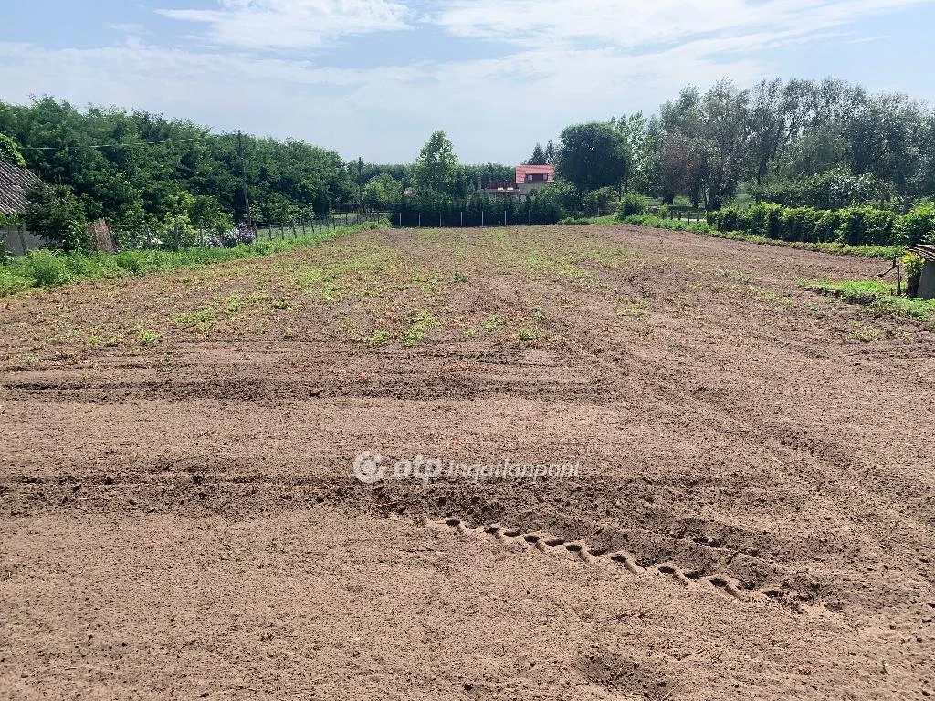 For sale building plot, Kálmánháza, Központ