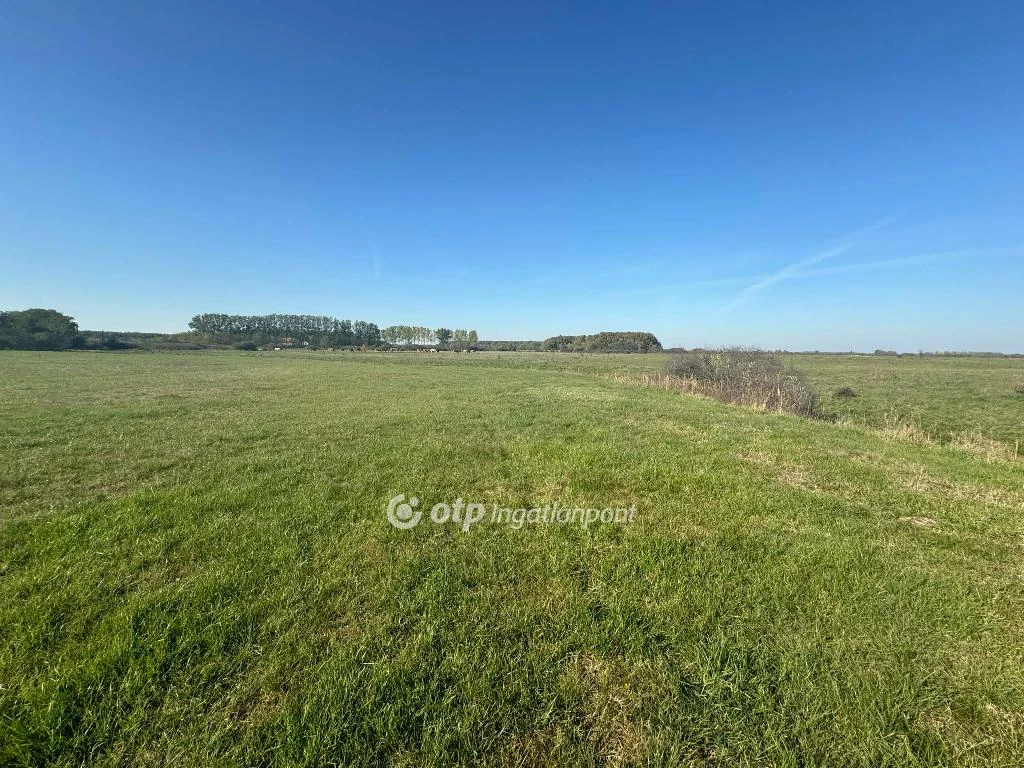 For sale plough-land, pasture, Kismarja, Központ