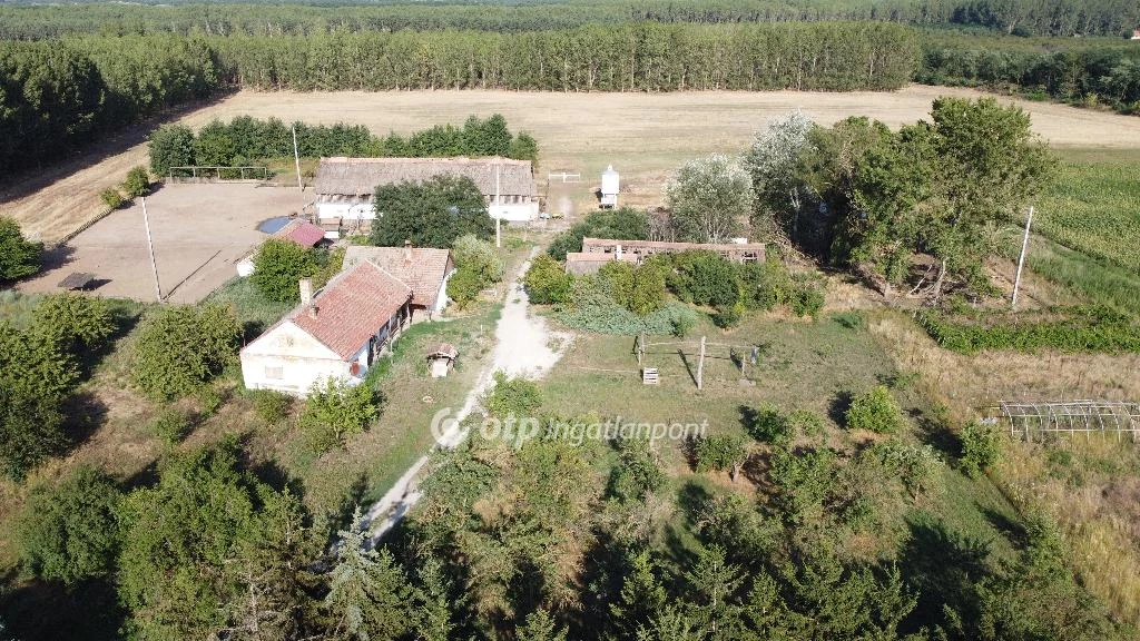 For sale plough-land, pasture, Debrecen, Debrecen