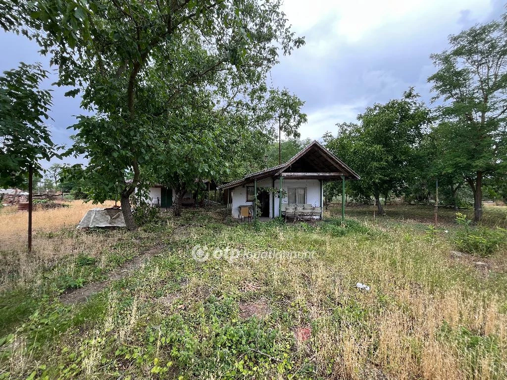 For sale house, Bakonszeg, Bakonszeg