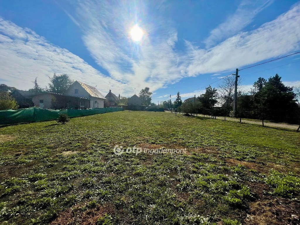 c3-1-name c2-50-name, Debrecen, Bellegelő kert