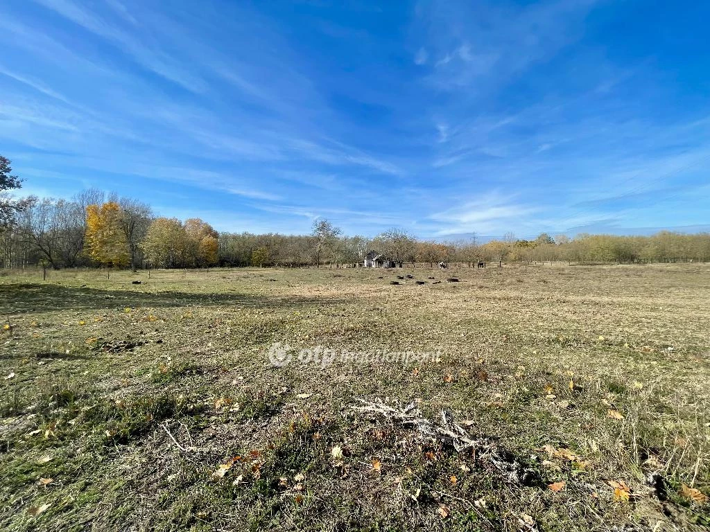 Eladó építési telek, Hosszúpályi, Hosszúpályi