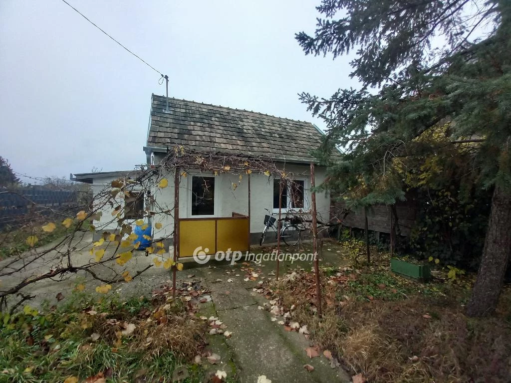 c3-1-name c2-1-name, Debrecen, HOMOKKERT