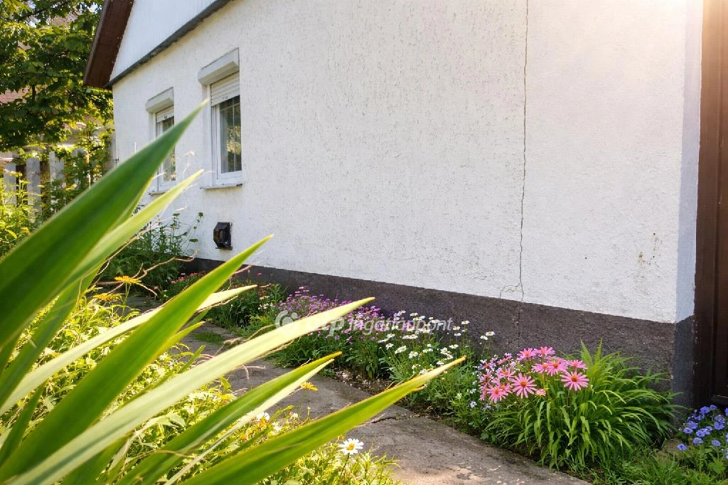 c3-1-name c2-1-name, Létavértes, belterület