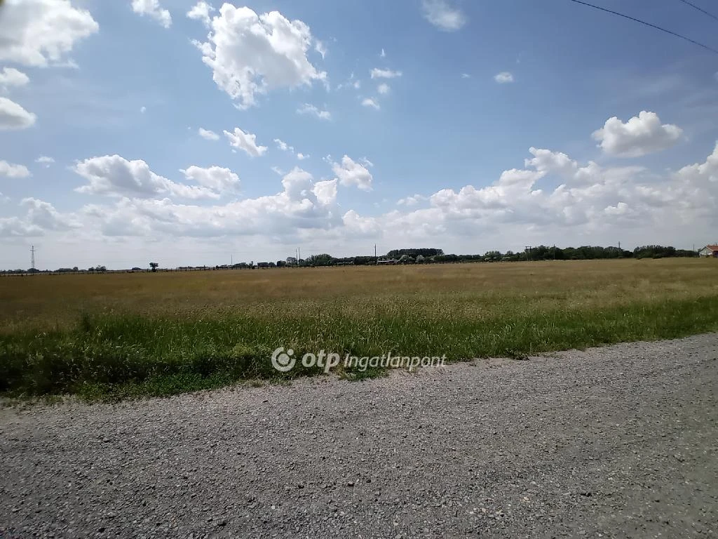 Eladó építési telek, Berettyóújfalu, Berettyószentmárton