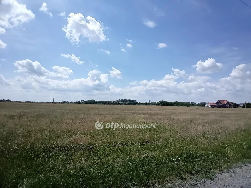 Eladó építési telek, Berettyóújfalu, Berettyószentmárton