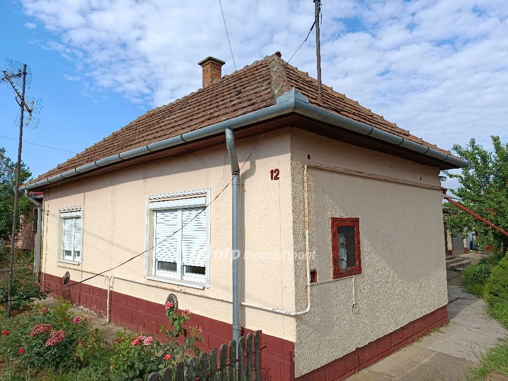 c3-1-name c2-1-name, Hajdúhadház, Központ