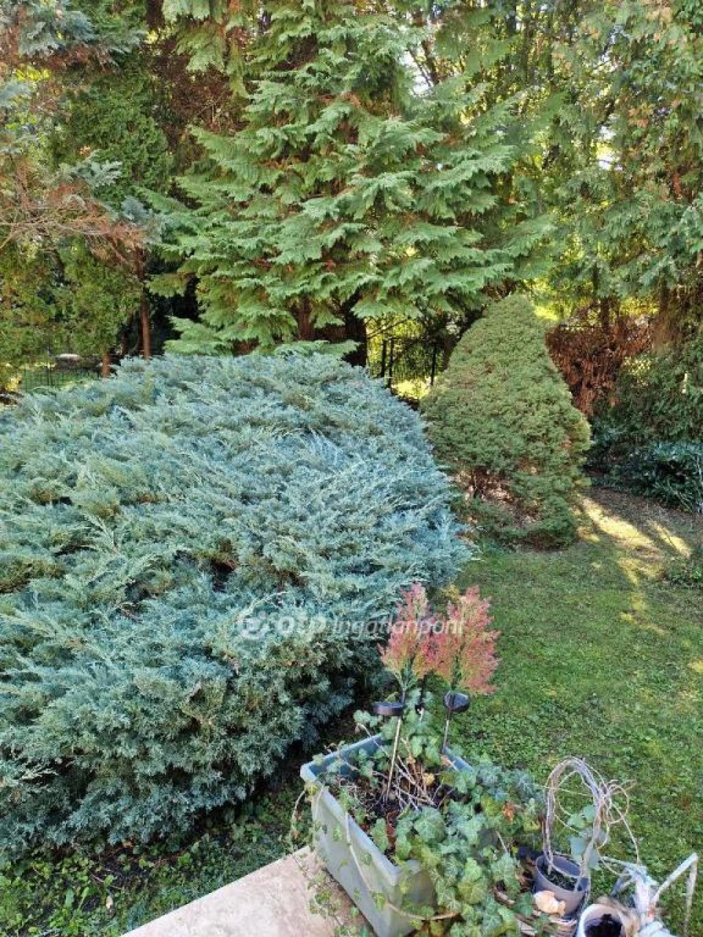 Eladó Ház, Budapest 2. ker.