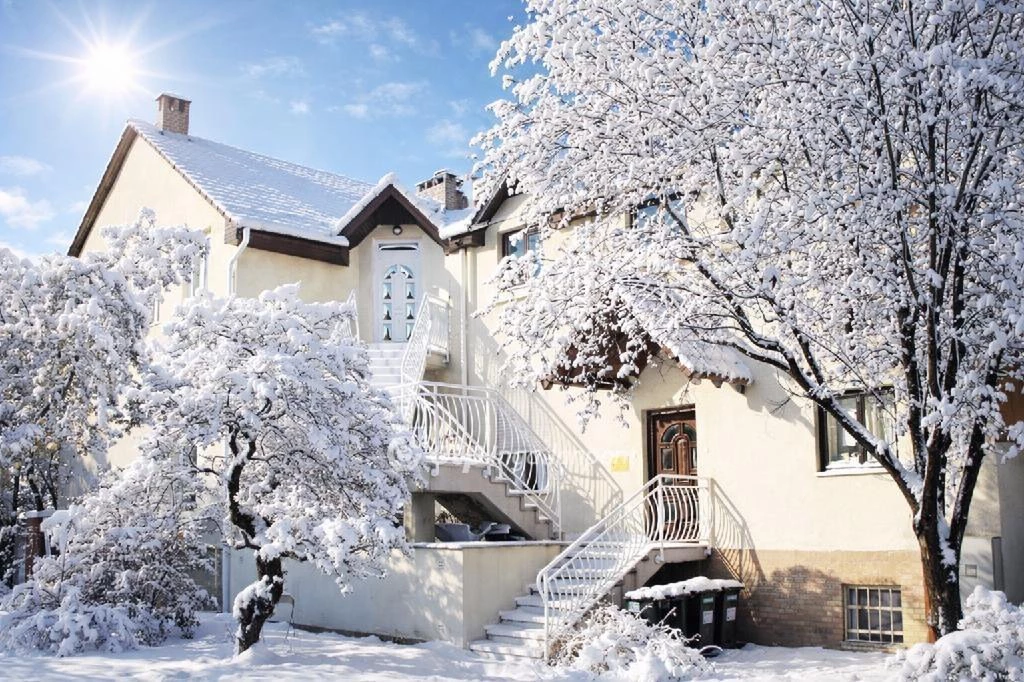 c3-1-name c2-1-name, Budapest X. kerület, Óhegy, Óhegy park