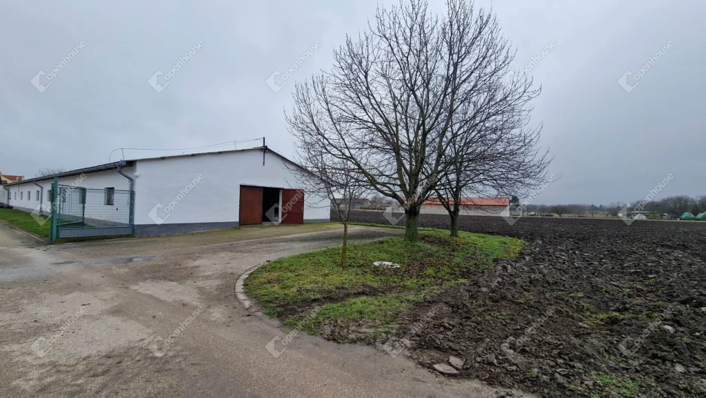 Kiadó raktárhelyiség Komáromban.