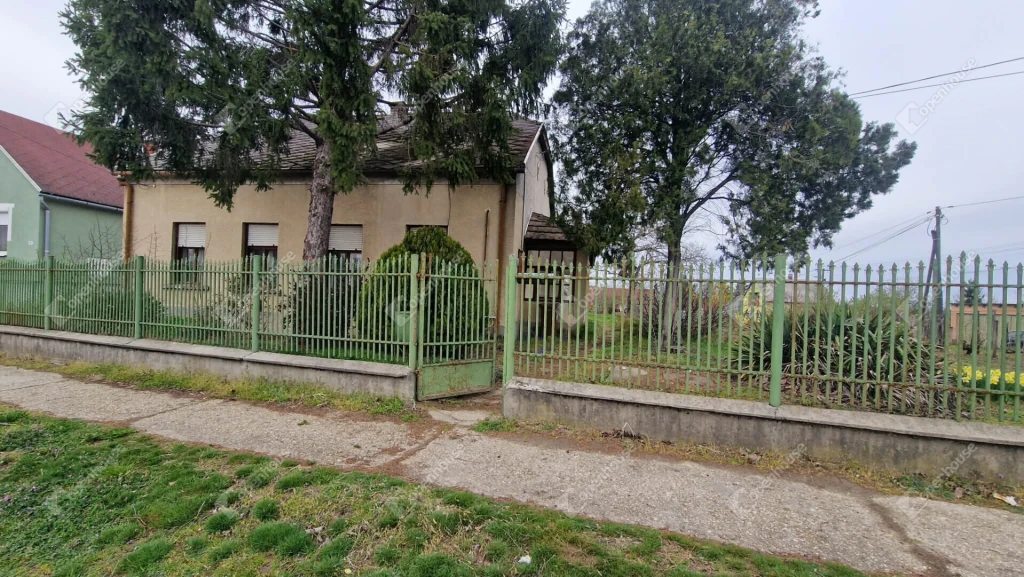 Kreatív új tulajdonosát keresi......