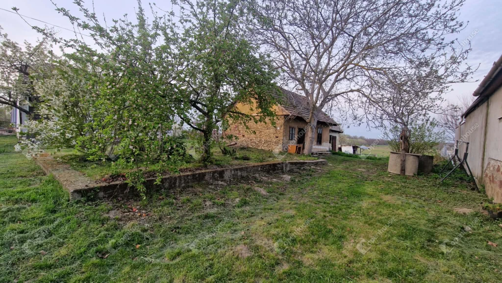 c3-1-name c2-1-name, Csép