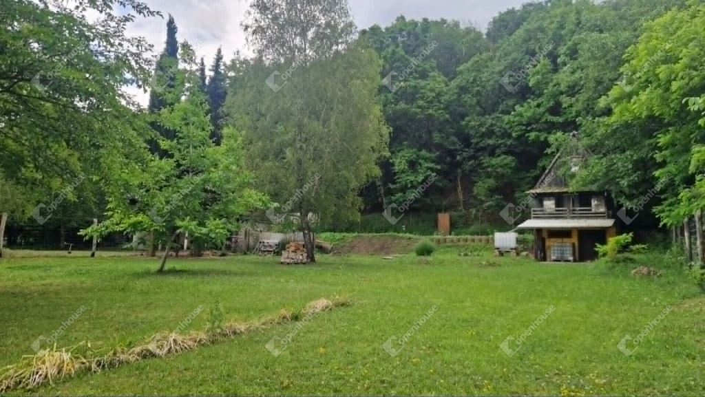 Mesés panoráma, erdőszél, gyümölcsfák – különleges lehetőség Dunaalmáson!