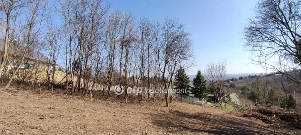 Eladó Telek, Tahitótfalu