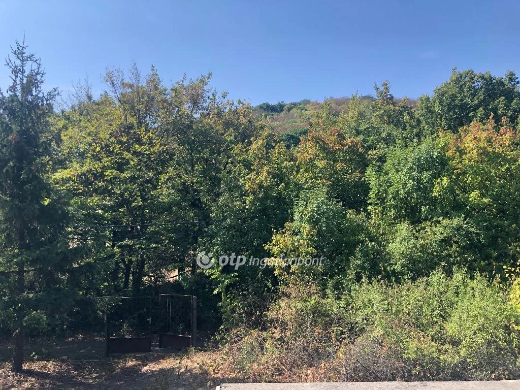 Eladó Telek, Dunabogdány