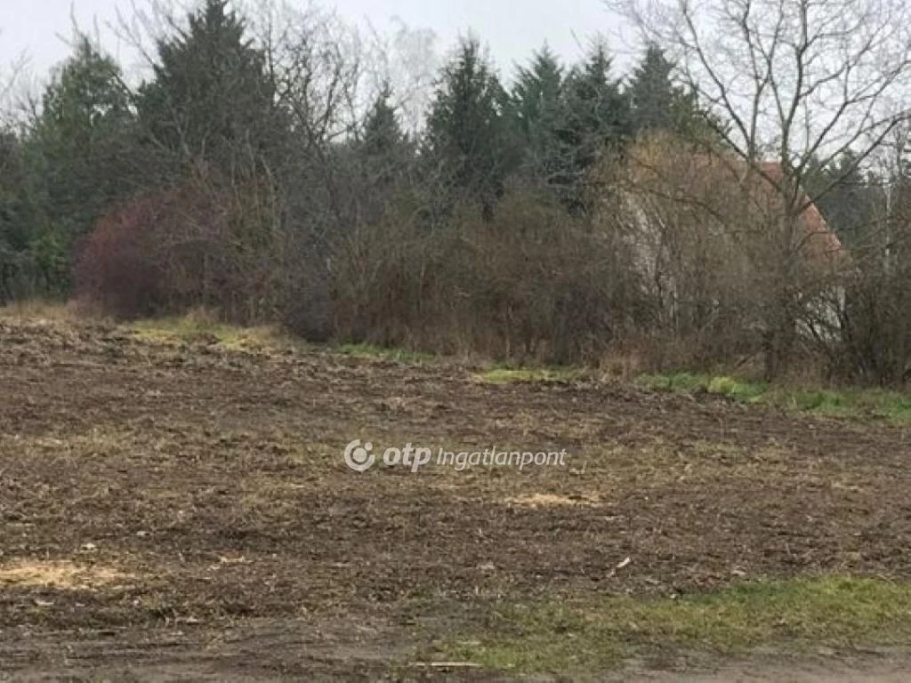 c3-1-name c2-84-name, Velence