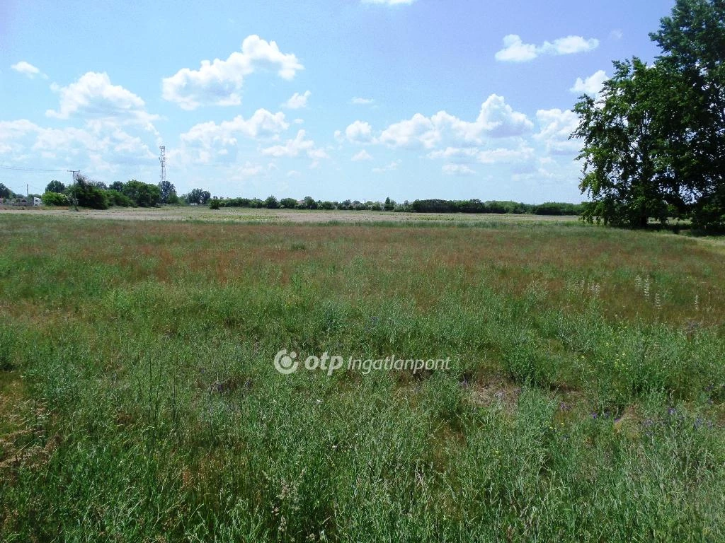 For sale development area, Pilis