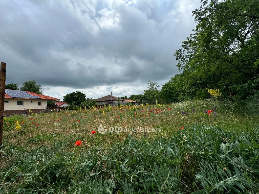 For sale building plot, Délegyháza