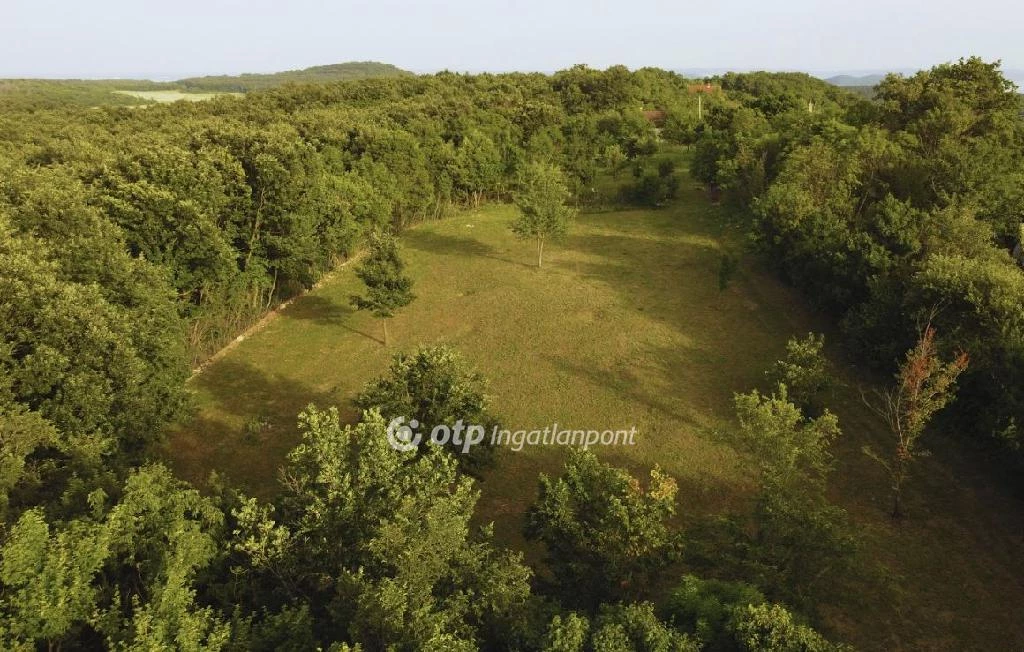 Eladó Telek, Balatonszőlős