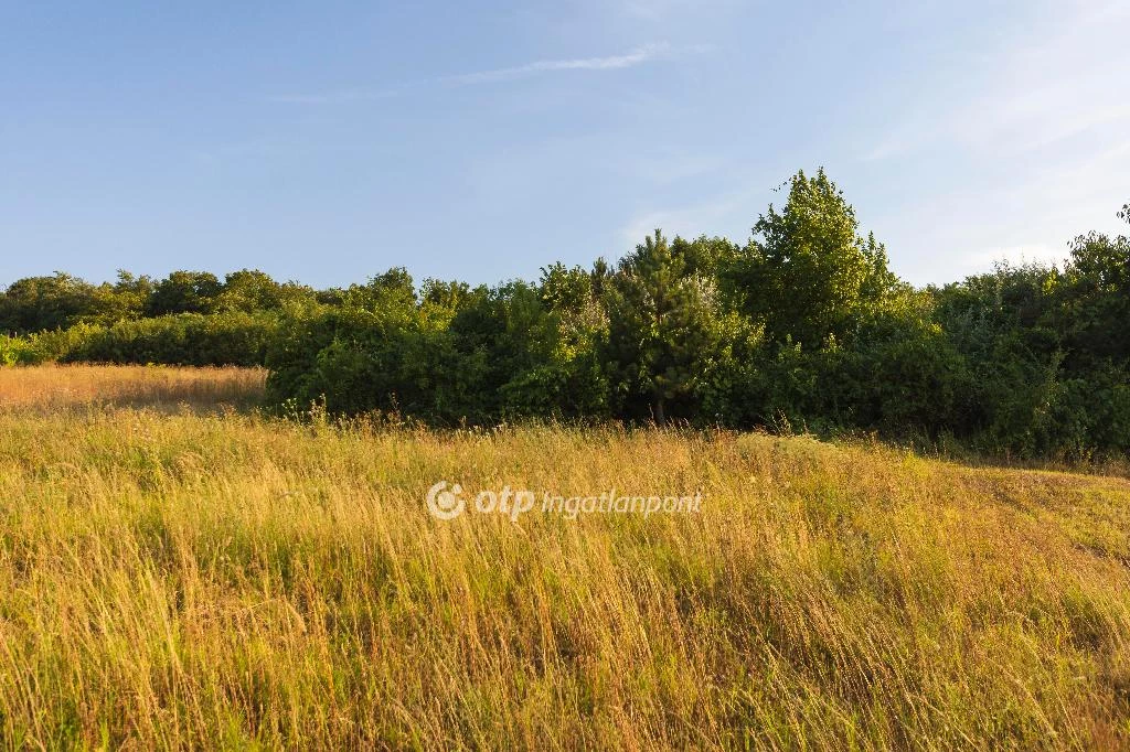 For sale periphery plot, Pázmánd