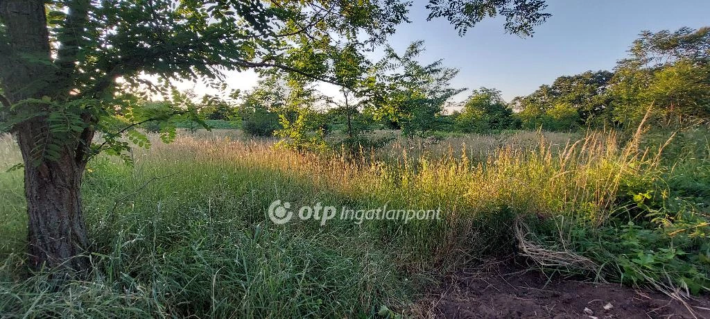 For sale building plot, Felcsút