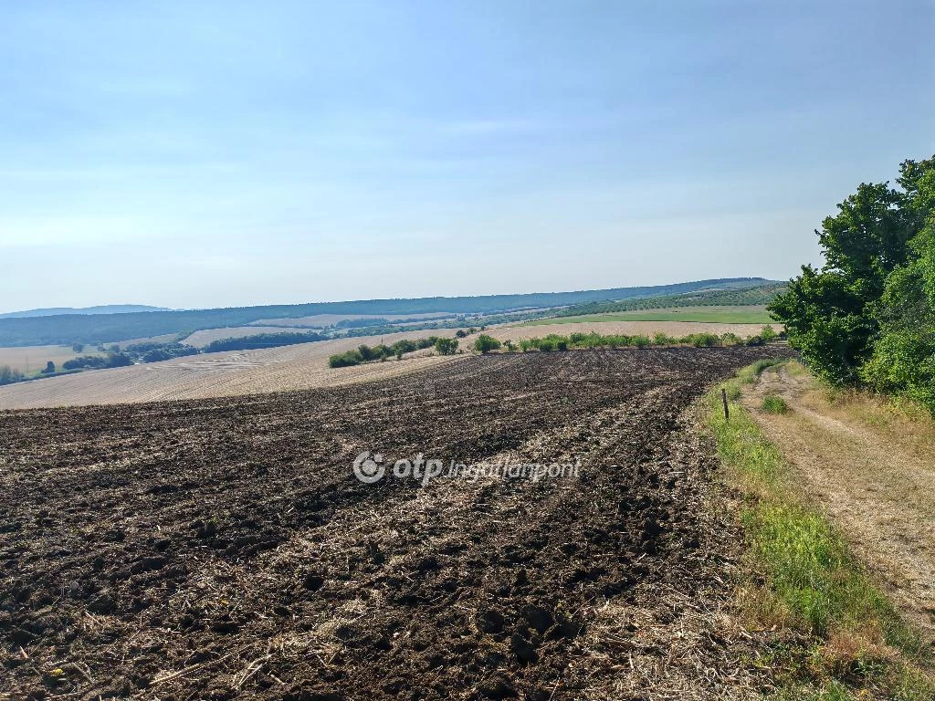 Eladó Telek, Szomor