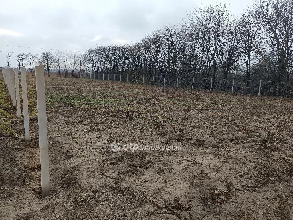 For sale building plot, Kiskunlacháza
