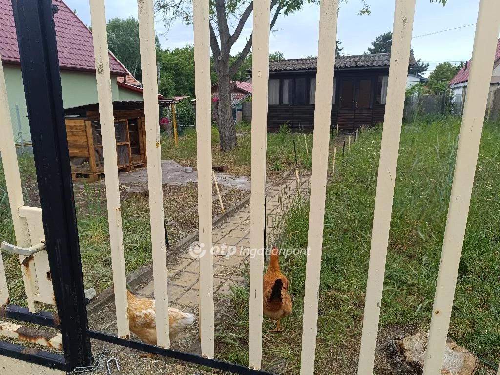 Eladó Ház, Szigethalom