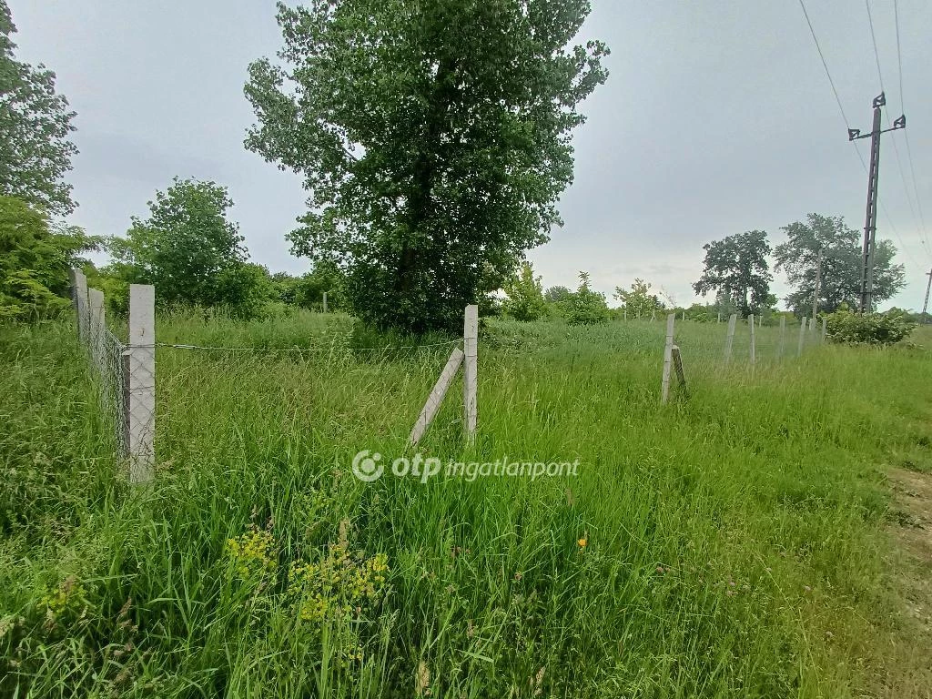 Eladó Telek, Dömsöd