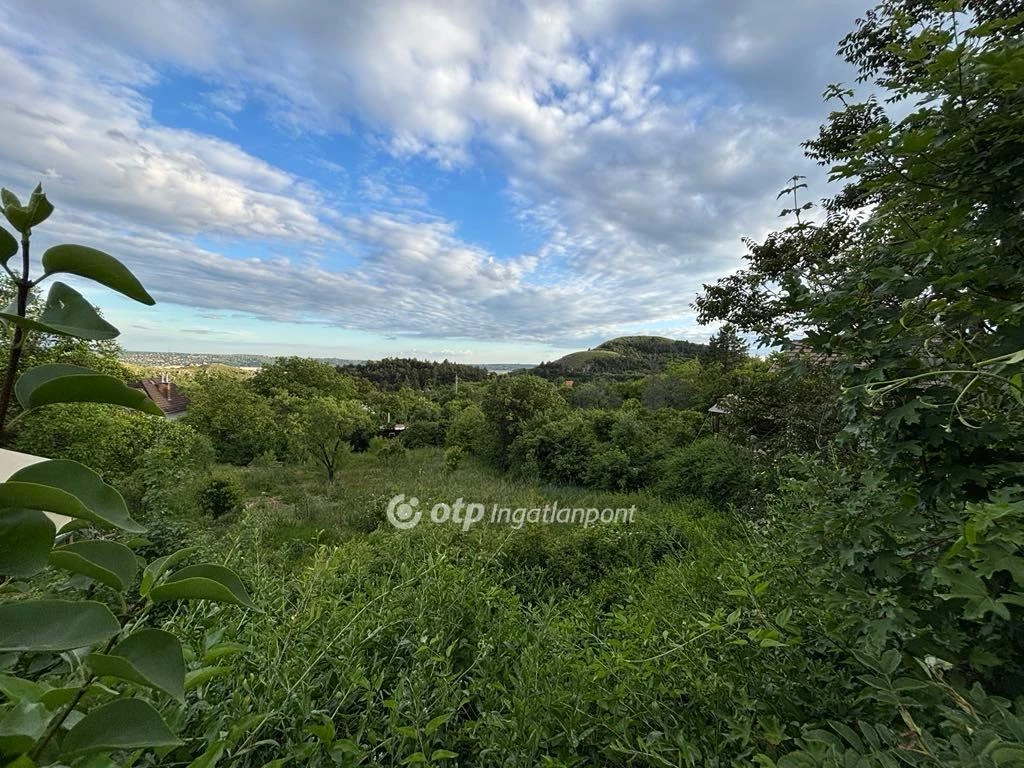 c3-1-name c2-52-name, Budaörs