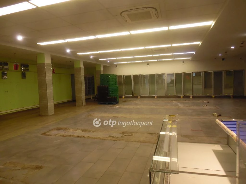 Kiadó Üzlethelyiség, Szigetszentmiklós