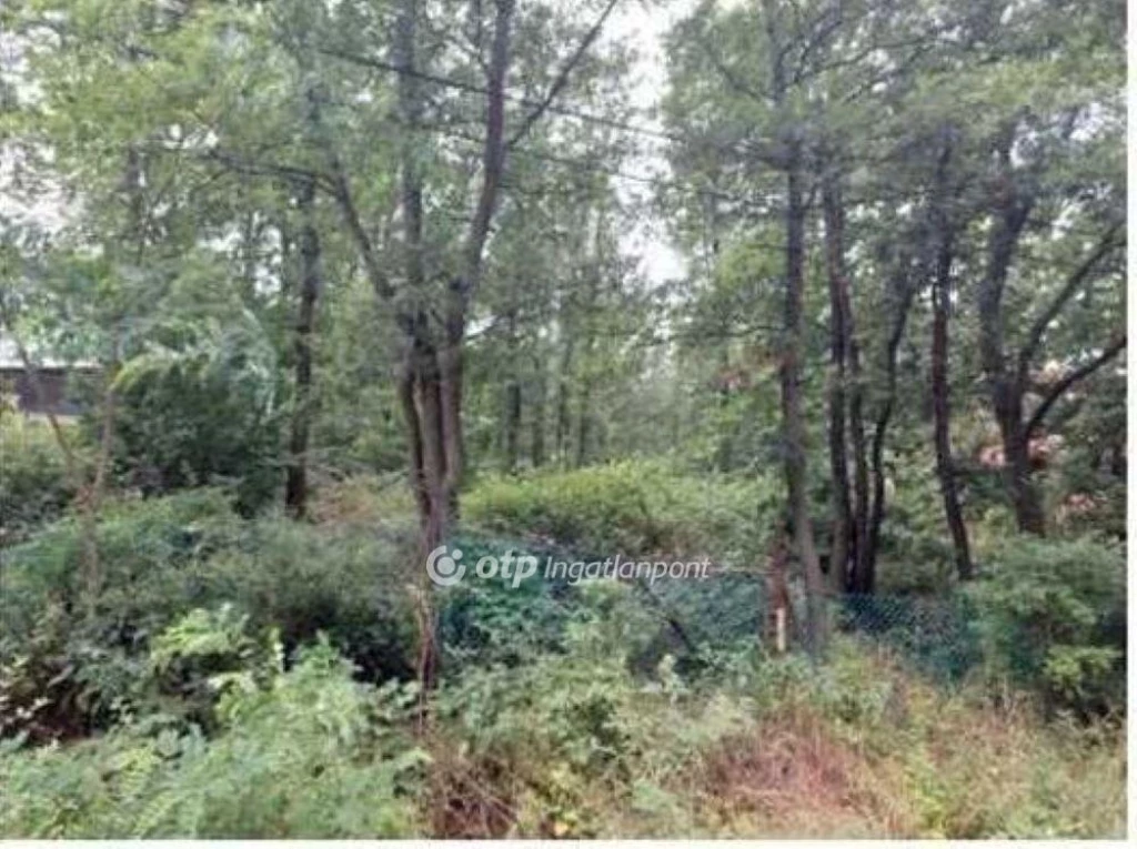 c3-1-name c2-50-name, Érd