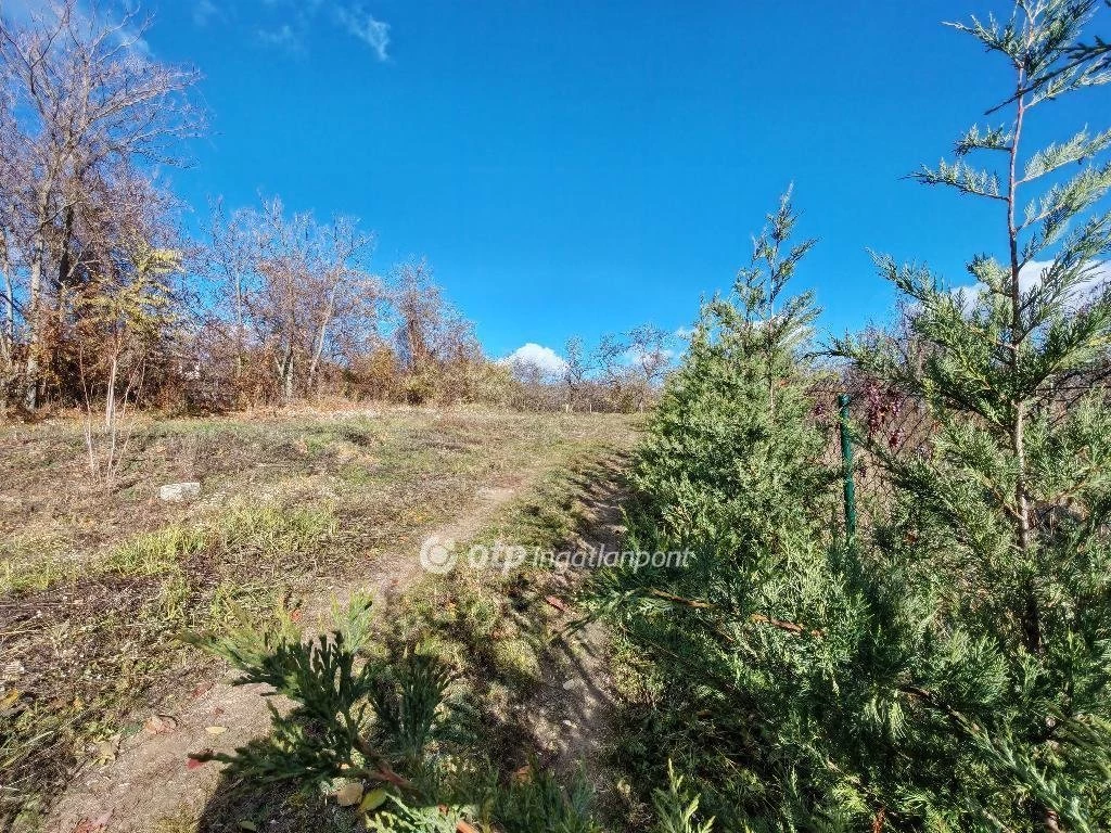 Eladó Telek, Zsámbék