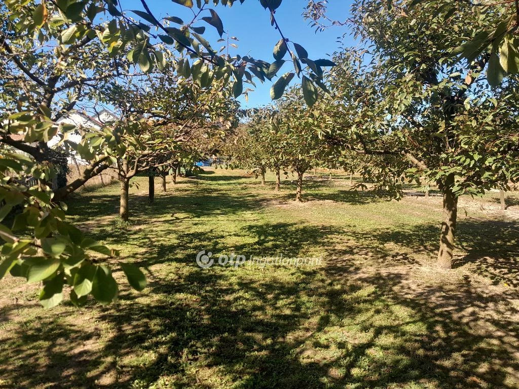 Eladó Telek, Zsámbék