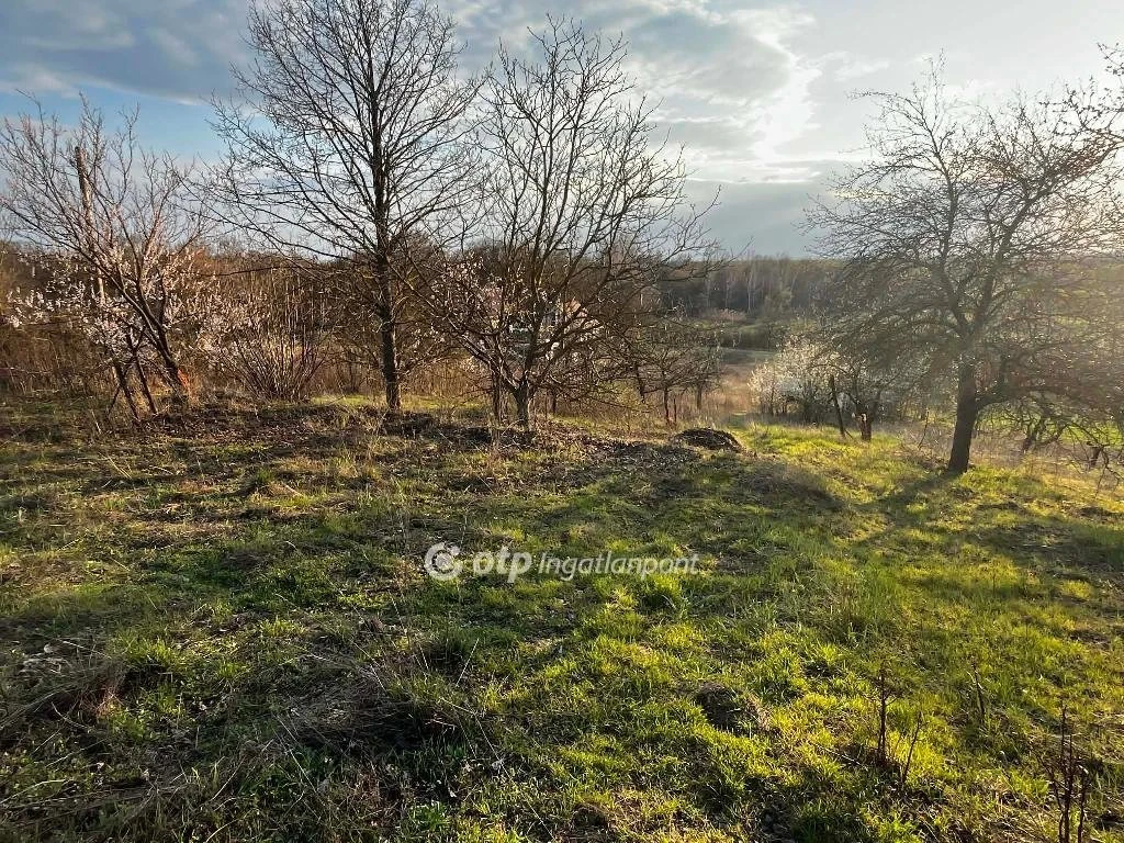 c3-1-name c2-53-name, Martonvásár