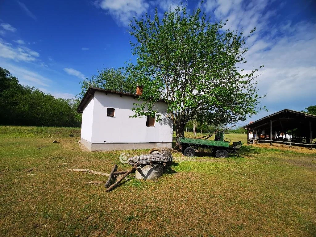 c3-1-name c2-57-name, Örkény