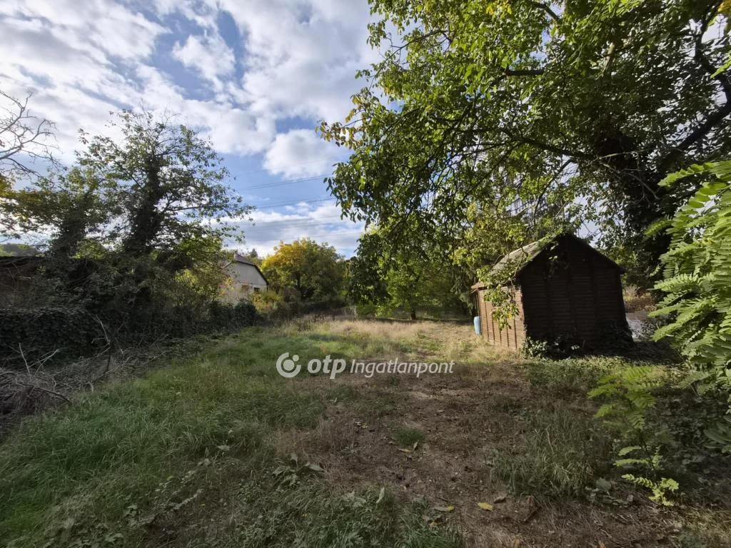 c3-1-name c2-50-name, Érd