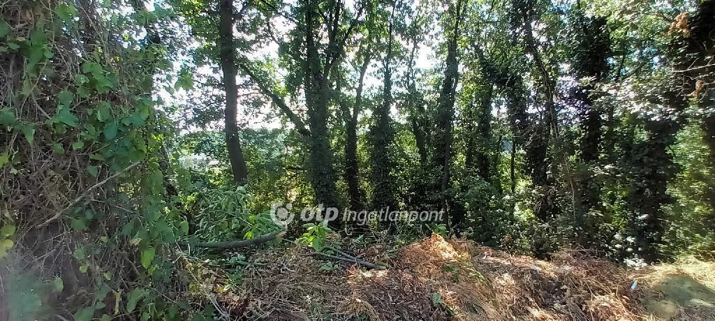 c3-1-name c2-50-name, Érd