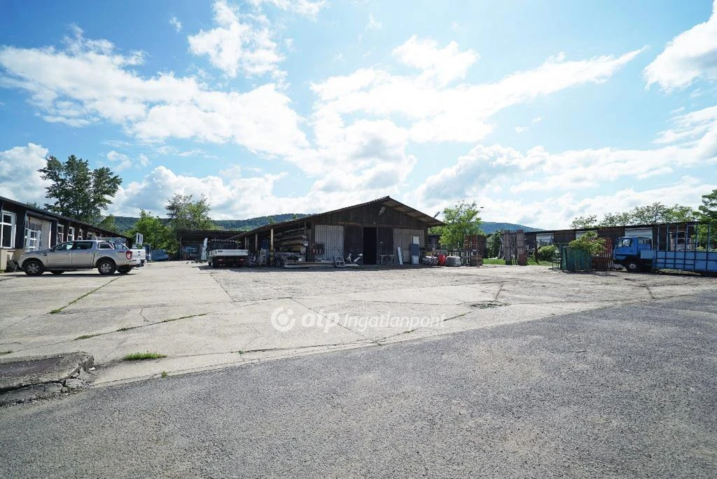 c3-1-name c2-53-name, Solymár